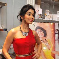 Shriya Saran at Wings of Fantasy Launch - Pictures | Picture 109845